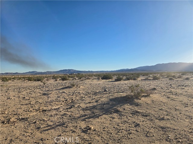 Detail Gallery Image 4 of 6 For 1234 Amboy, Twentynine Palms,  CA 92277 - – Beds | – Baths