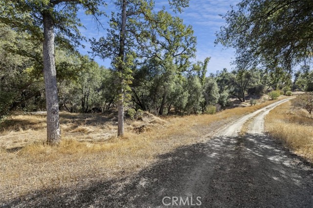 Detail Gallery Image 2 of 16 For 0 39.29 Ac Village Dr, Oakhurst,  CA 93644 - – Beds | – Baths