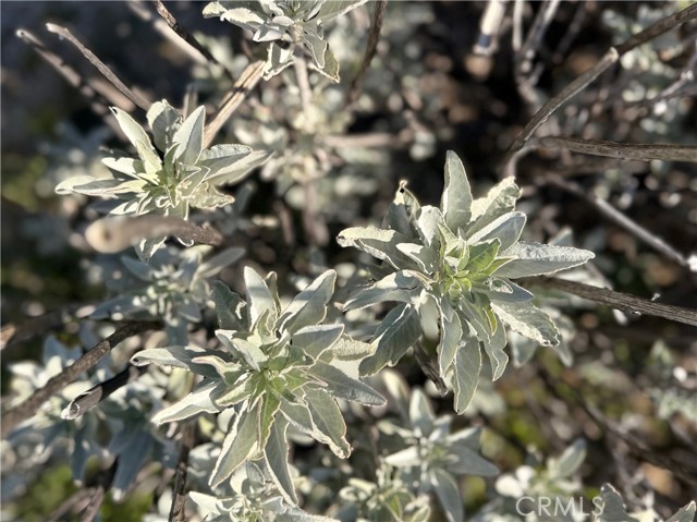 Detail Gallery Image 25 of 32 For 28013 San Felipe Rd, Warner Springs,  CA 92086 - – Beds | – Baths