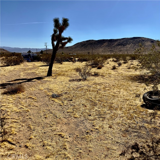 59787 Sharp Terrace, Joshua Tree, California 92252, ,Land,For Sale,59787 Sharp Terrace,CRJT23207512