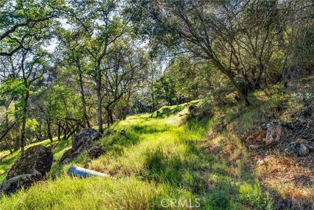 Detail Gallery Image 18 of 31 For 0 Iron Mine Rd, Auburn,  CA 95602 - – Beds | – Baths