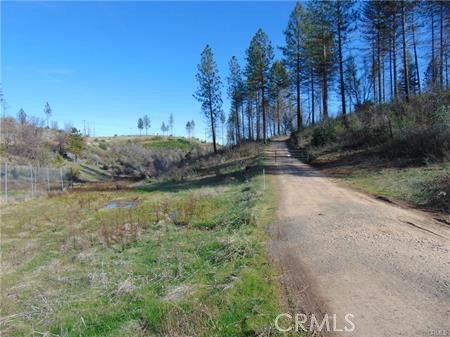 145 Golden Hawk Lane, Oroville, California 95965, ,Land,For Sale,145 Golden Hawk Lane,CRSN24047536