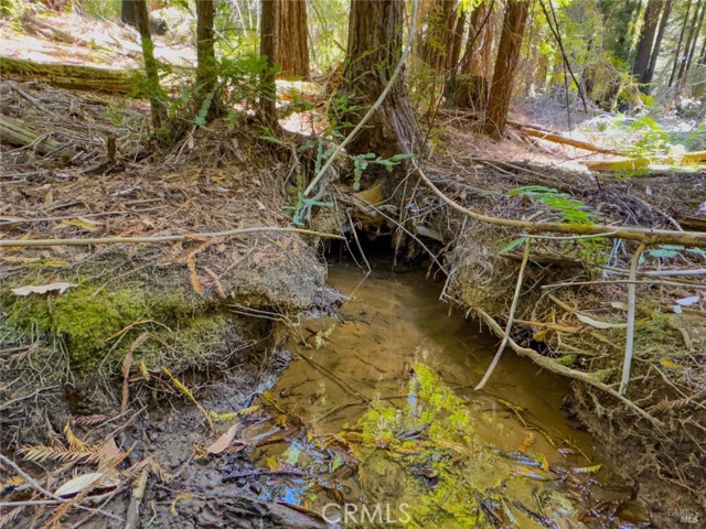 Detail Gallery Image 6 of 12 For 3700 Redwood Creek Rd, Willits,  CA 95490 - – Beds | – Baths