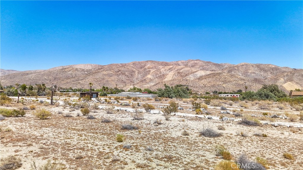 MLS #JT24133098 image #12