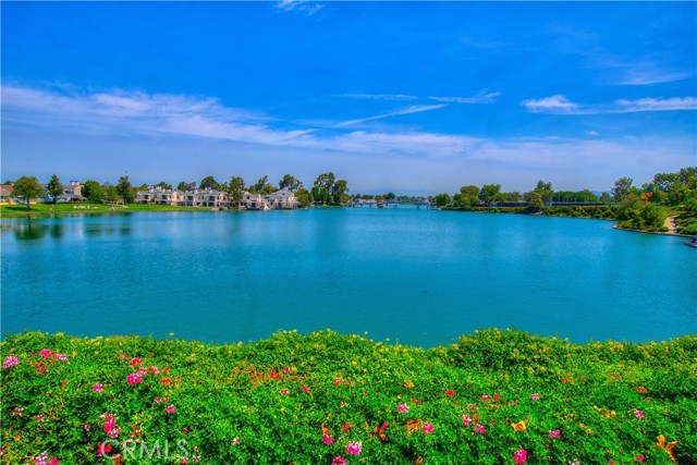 9 New Mdws, Irvine CA: https://media.crmls.org/medias/4e146d50-88e3-474e-a38c-7a42a81b1359.jpg