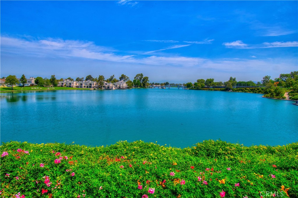 https://media.crmls.org/medias/4e146d50-88e3-474e-a38c-7a42a81b1359.jpg?preset=X-Large