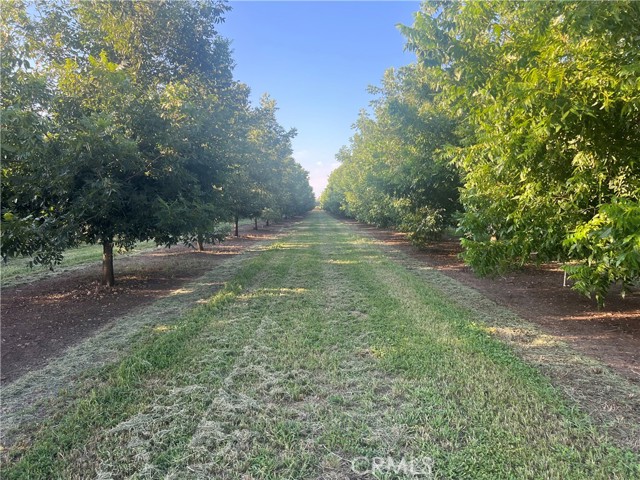 Detail Gallery Image 1 of 24 For 14450 Meridian Rd, Chico,  CA 95973 - 2 Beds | 2 Baths