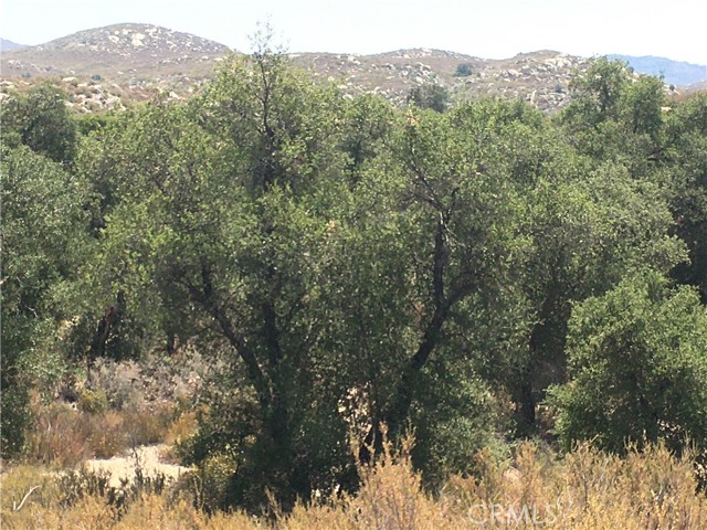 Detail Gallery Image 5 of 26 For 35010 Willow Creek Rd., Hemet,  CA 92544 - – Beds | – Baths