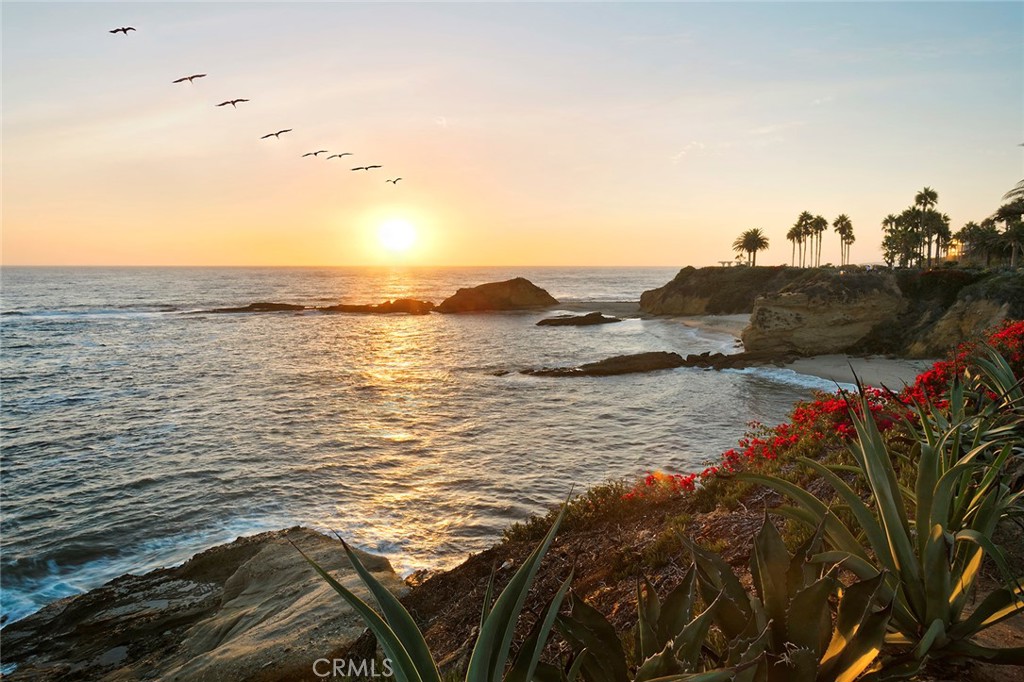 https://media.crmls.org/medias/4e1ca3cf-1295-4846-a6a9-7d06b70ee9cd.jpg?preset=X-Large
