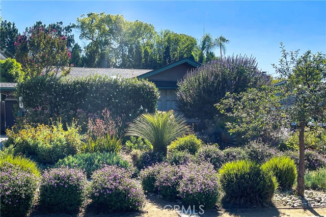 Front Image Thumbnail for CRSR26144835