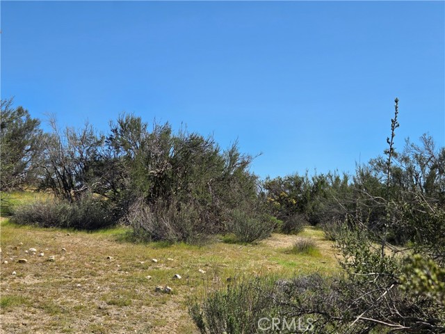 Detail Gallery Image 10 of 14 For 0 Pony Trail, Anza,  CA 92539 - – Beds | – Baths
