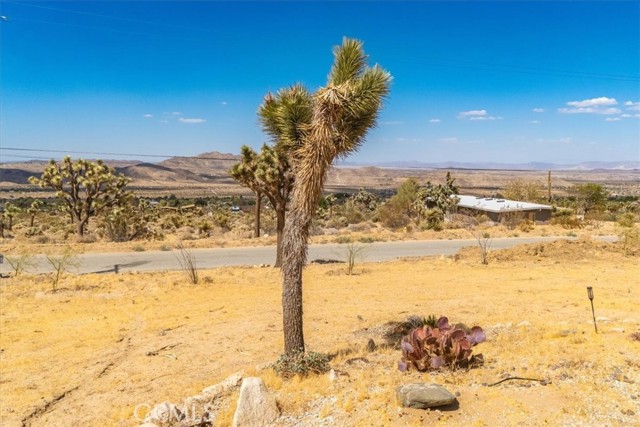 Detail Gallery Image 37 of 65 For 60427 Onaga Trl, Joshua Tree,  CA 92252 - 4 Beds | 2/1 Baths