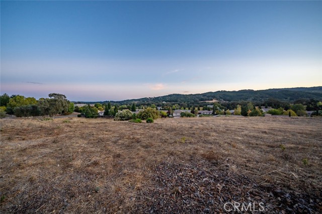 Detail Gallery Image 65 of 75 For 1535 via Rojas, Templeton,  CA 93465 - 4 Beds | 2/1 Baths