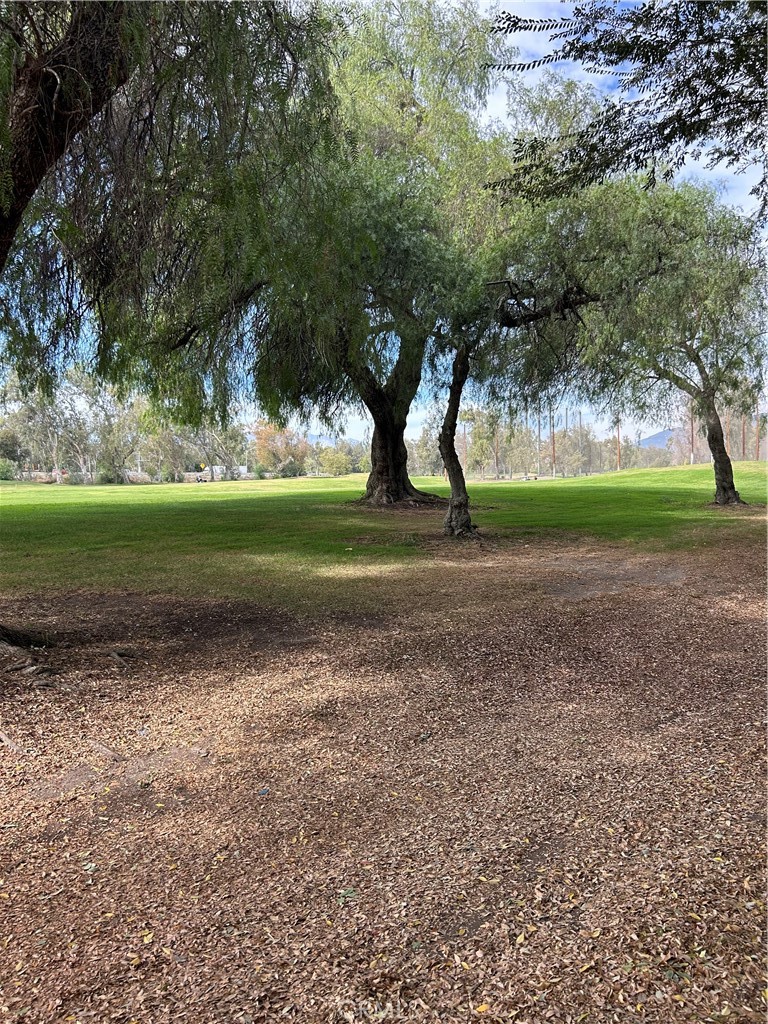 MLS #IV25258392 image #25