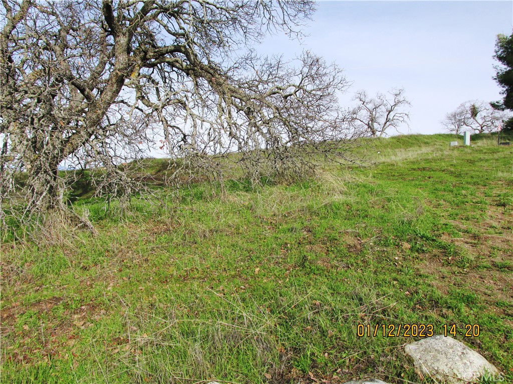 MLS #FR25100553 image #5