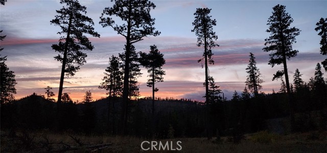0 Condor, Oroville CA: https://media.crmls.org/medias/4e31c665-f353-4922-a575-4fc897749373.jpg