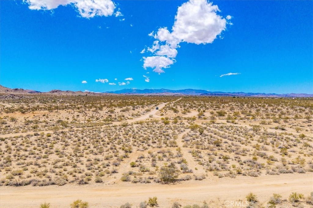 MLS #JT25107809 image #19