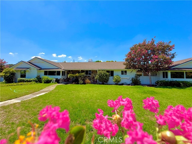 9537 Jellico Avenue photo 20