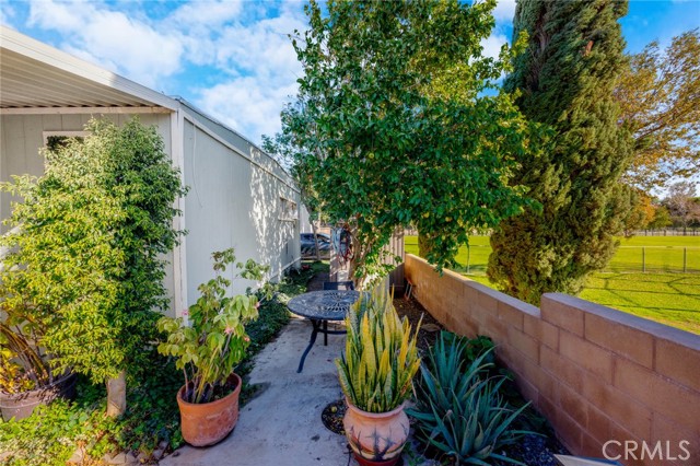 Front Image Thumbnail for CRIV25277590