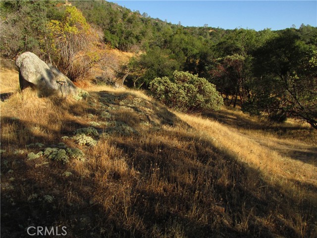 Detail Gallery Image 42 of 54 For 2 Ac Old Oaks Ct, North Fork,  CA 93643 - – Beds | – Baths