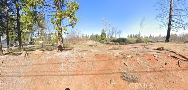 Front Image Thumbnail for CRPA26229228
