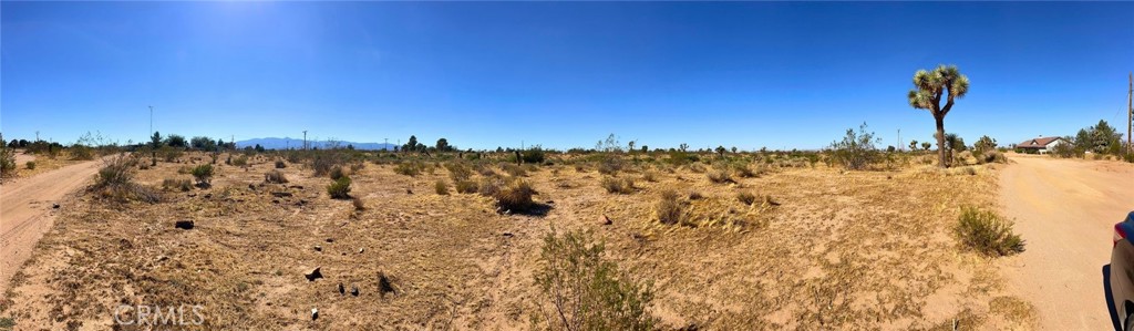 MLS #OC24174508 img 8