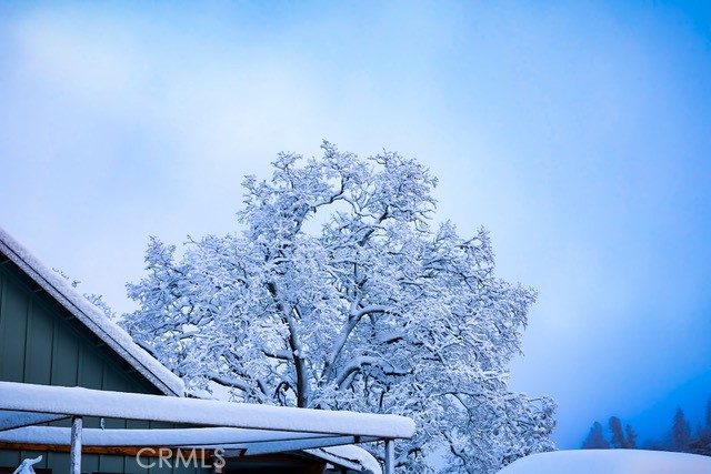 https://media.crmls.org/medias/4e41452e-2b1d-48a0-8f29-18789156b96f.jpg?preset=X-Large