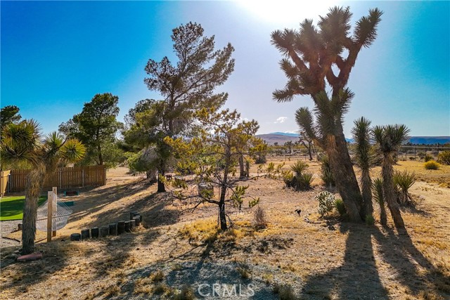 Detail Gallery Image 51 of 75 For 4191 Balsa Ave, Yucca Valley,  CA 92284 - 3 Beds | 3 Baths