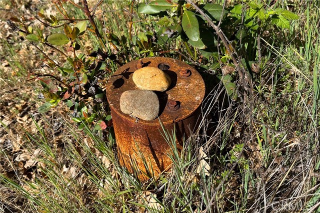 Detail Gallery Image 22 of 35 For 1271 Lake, –,  CA 96048 - – Beds | – Baths