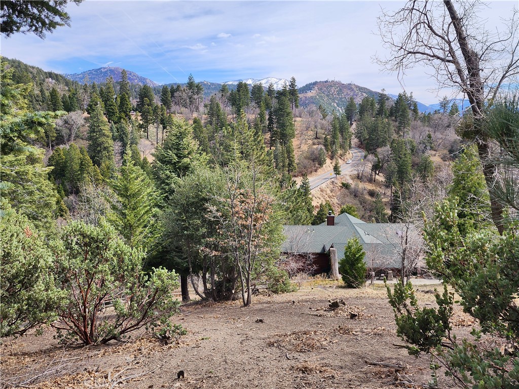 MLS #IG25045374 image #7