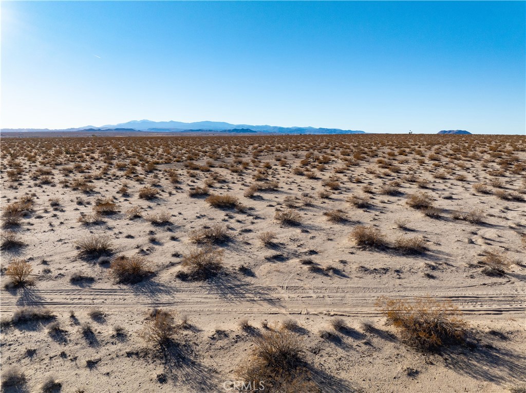 MLS #JT25029694 image #7