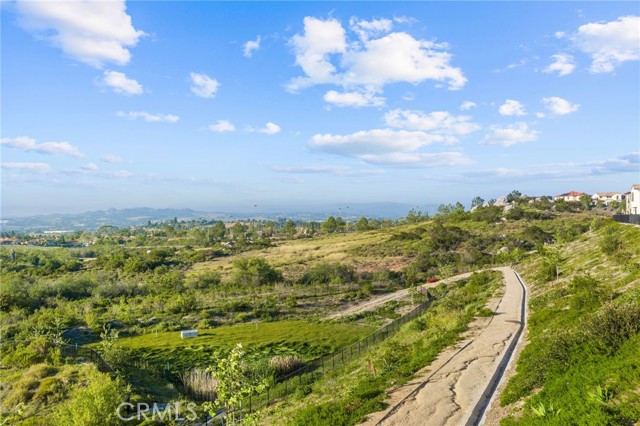 Detail Gallery Image 41 of 51 For 1704 Laurelwood, Oceanside,  CA 92056 - 3 Beds | 2/1 Baths