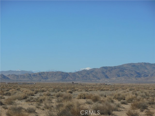 Detail Gallery Image 7 of 7 For 105 Smoke Bush, Lucerne Valley,  CA 92356 - – Beds | – Baths