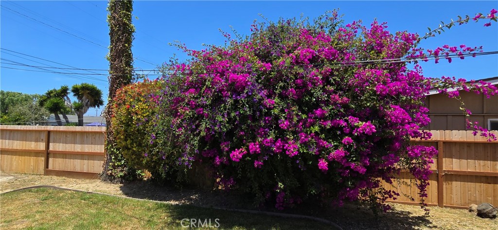 https://media.crmls.org/medias/4e4f10a9-162e-4226-a355-50565e79c96c.jpg?preset=X-Large