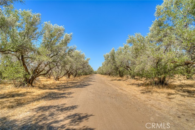 16 Rocky Drive, Oroville CA: https://media.crmls.org/medias/4e51b34b-3076-42e5-8a3c-07f826d09bb8.jpg