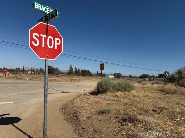 9875 Braceo Street, Oak Hills CA: https://media.crmls.org/medias/4e51b97a-af05-48df-9268-175c2d62cd27.jpg