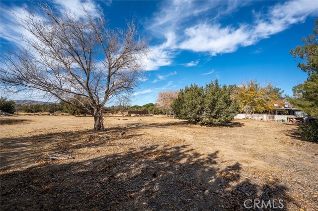 Detail Gallery Image 51 of 65 For 40323 22nd St, Palmdale,  CA 93551 - 3 Beds | 2 Baths