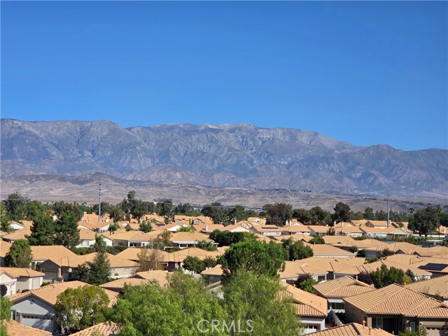 Front Image Thumbnail for CRIG25247899