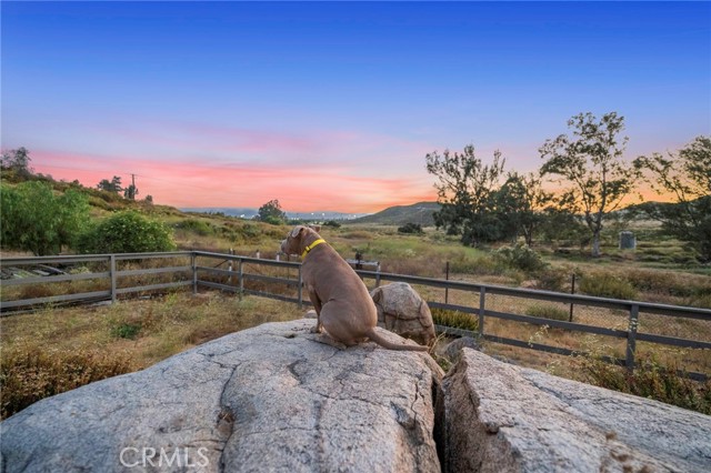 Detail Gallery Image 58 of 60 For 28525 Perry Rd, Murrieta,  CA 92563 - 3 Beds | 3 Baths