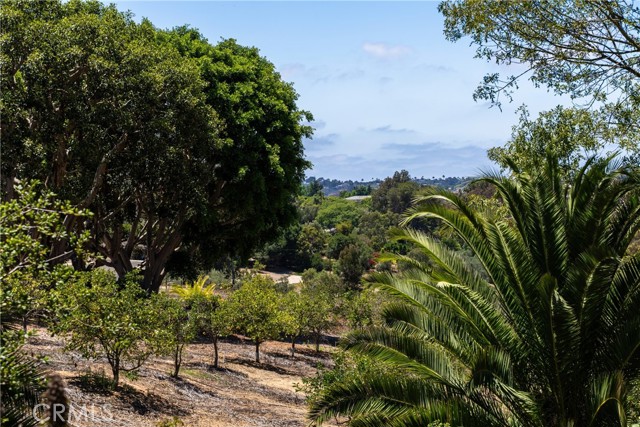 17716 Via De Fortuna, Rancho Santa Fe CA: https://media.crmls.org/medias/4e648b2d-86b0-48d0-96d2-f1ca3e97aa3e.jpg