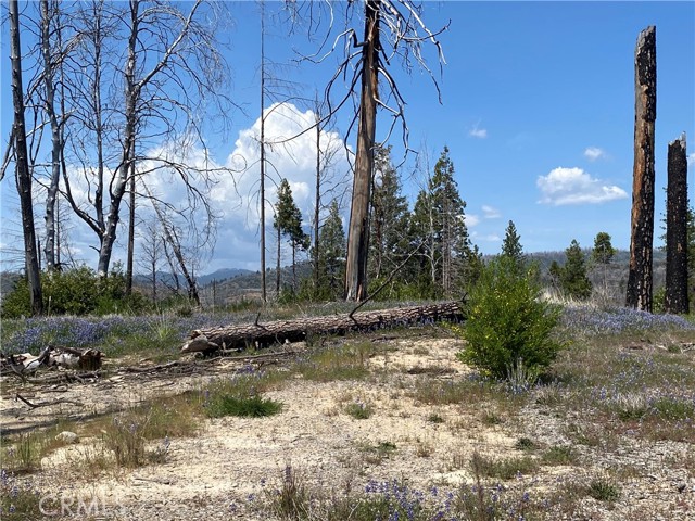 Detail Gallery Image 19 of 24 For 1103 Bald Rock Rd, Berry Creek,  CA 95916 - – Beds | – Baths