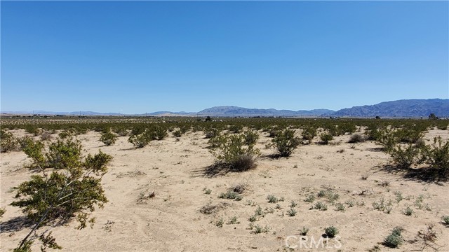 Detail Gallery Image 9 of 12 For 0 Taylor Ln, Twentynine Palms,  CA 92277 - – Beds | – Baths