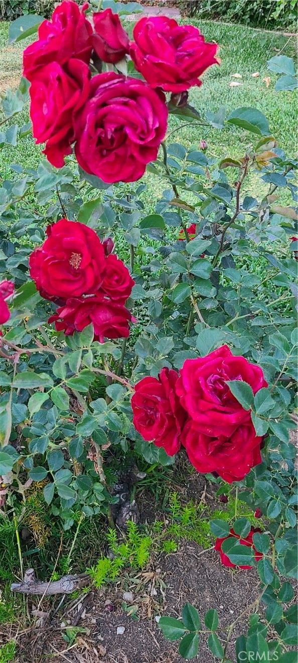 https://media.crmls.org/medias/4e722e2e-5c11-4ed1-8779-abbaf7f30ebc.jpg?preset=X-Large