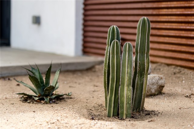 Detail Gallery Image 45 of 60 For 7422 Joshua Ln, Yucca Valley,  CA 92284 - 3 Beds | 2 Baths