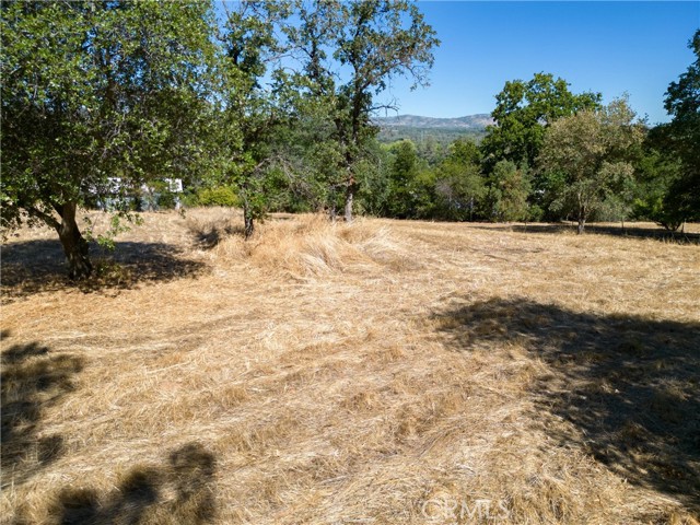 123 Edgemont Drive, Oroville, California 95966, ,Land,For Sale,123 Edgemont Drive,CRSN23162239