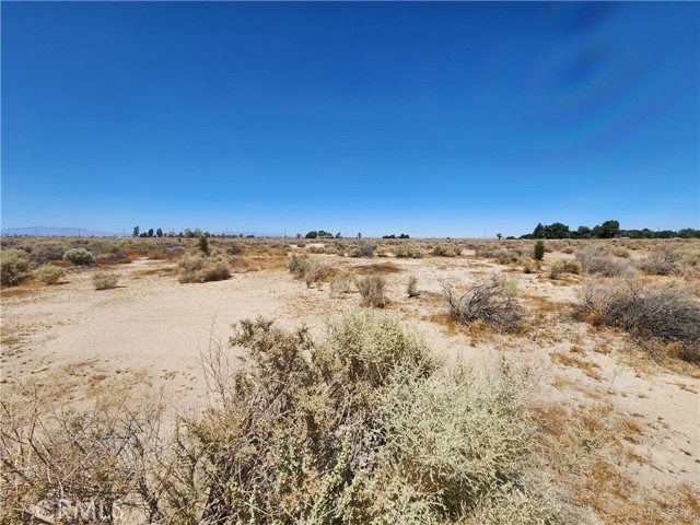 Image 2 of 6 For 2 122 Street