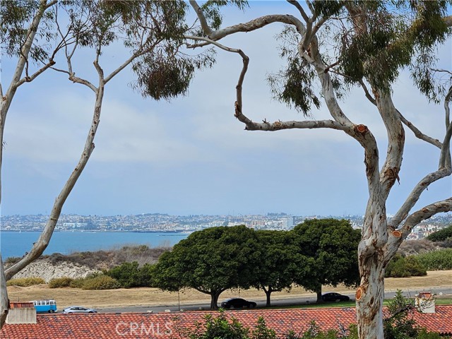 364 Via Almar, Palos Verdes Estates CA: https://media.crmls.org/medias/4e7a74fd-f623-4216-b48c-5044b2241fe6.jpg