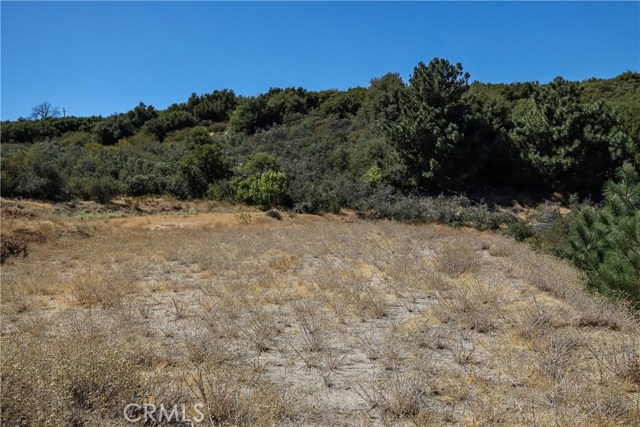 19030 Highway 243, Banning, California 92220, ,Land,For Sale,19030 Highway 243,CRIV22001970