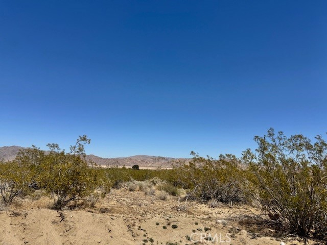 Detail Gallery Image 7 of 8 For 0 Miller Ranch Rd, Lucerne Valley,  CA 92356 - – Beds | – Baths