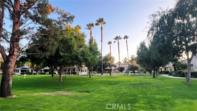 26330 Long Street, Loma Linda CA: https://media.crmls.org/medias/4e837b33-3bcd-4689-a262-c95b63be49aa.jpg